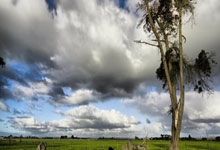 开云体育官网-西决生死战焦点战，热火打穿雷霆，团队篮球的终极胜利